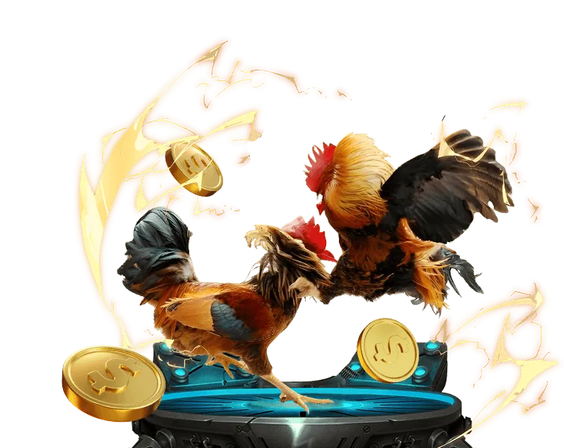 Hình ảnh giới thiệu thương hiệu trực tiếp kèo nhà cái